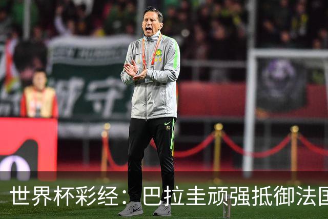 世界杯彩经：巴拉圭顽强抵御法国